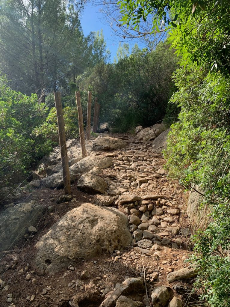 Wandern auf Mallorca Runde von Port de Soller Cap Gros und Refugi Muleta 38