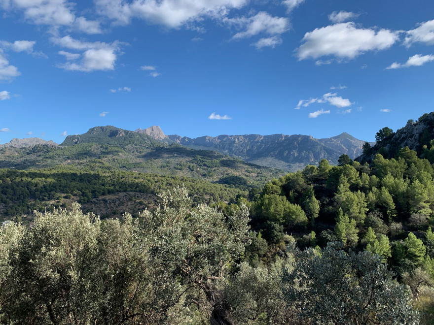 Wandern auf Mallorca Runde von Port de Soller Cap Gros und Refugi Muleta 42