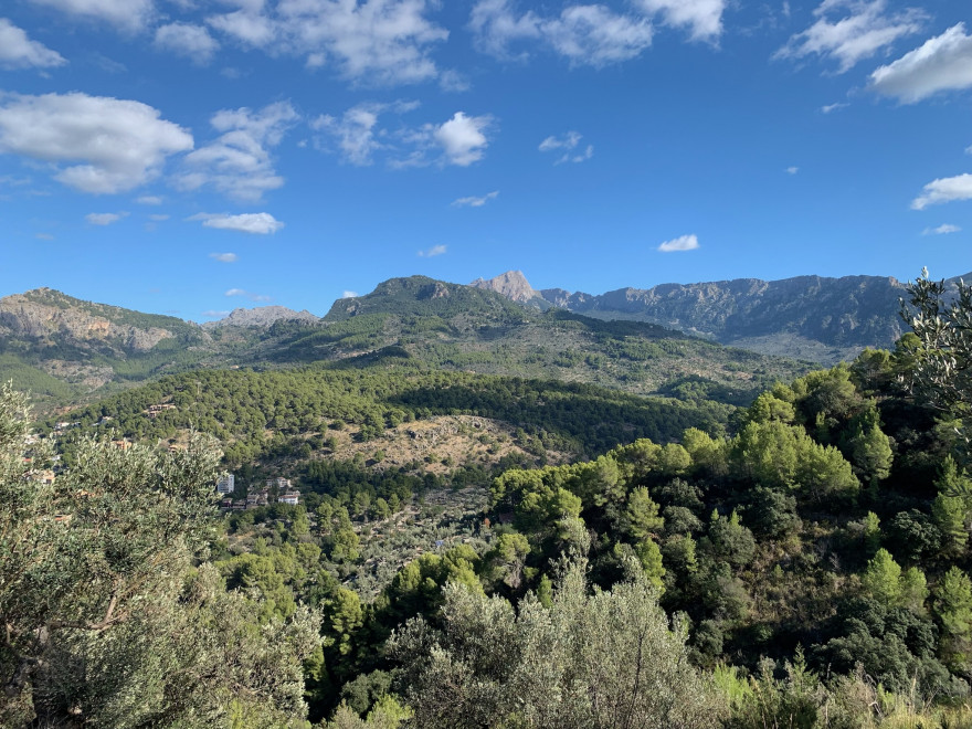 Wandern auf Mallorca Runde von Port de Soller Cap Gros und Refugi Muleta 43