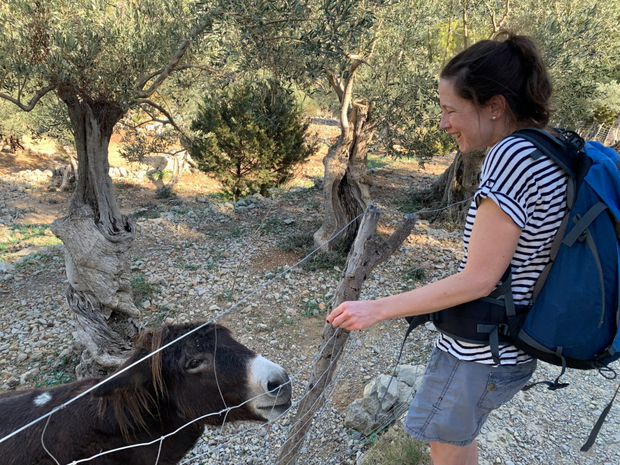 Wandern auf Mallorca Runde von Port de Soller Cap Gros und Refugi Muleta 48