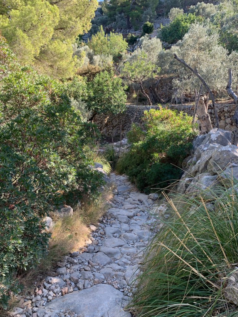 Wandern auf Mallorca Runde von Port de Soller Cap Gros und Refugi Muleta 50