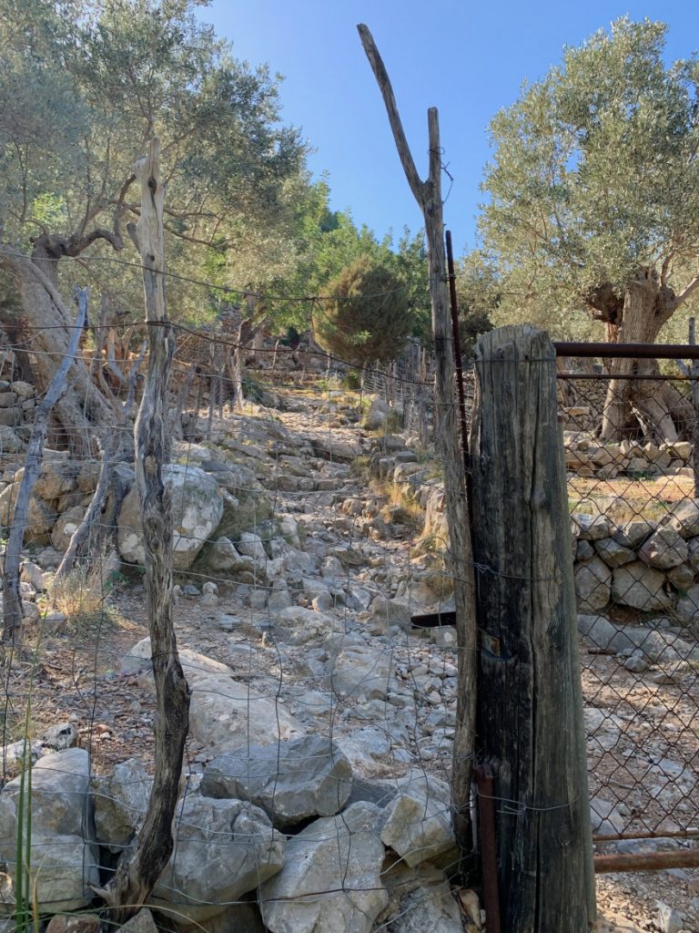 Wandern auf Mallorca Runde von Port de Soller Cap Gros und Refugi Muleta 51