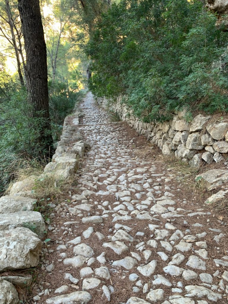 Wandern auf Mallorca Runde von Port de Soller Cap Gros und Refugi Muleta 52