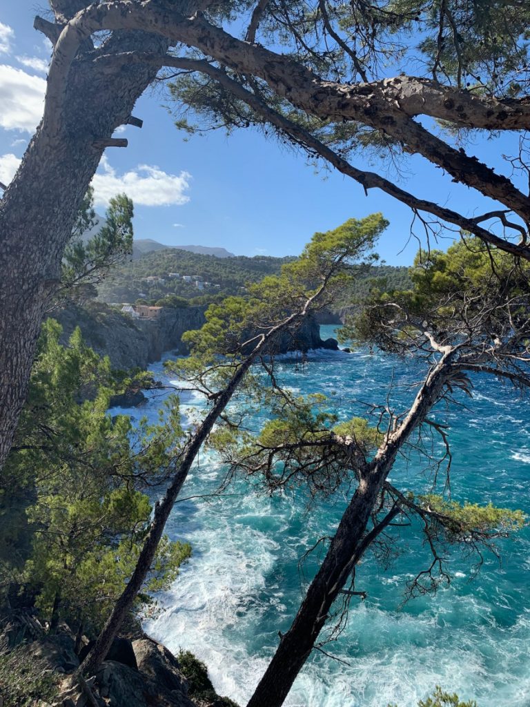 Wandern auf Mallorca Von Port de Soller über Sa Mola nach Soller 11