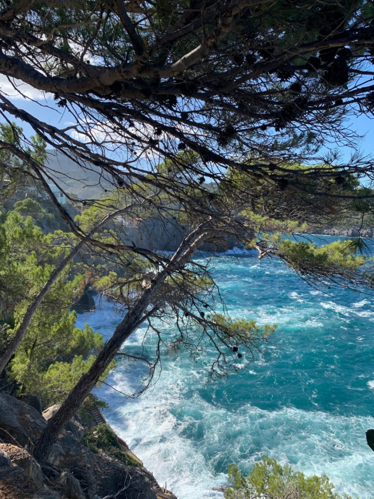 Wandern auf Mallorca Von Port de Soller über Sa Mola nach Soller 18