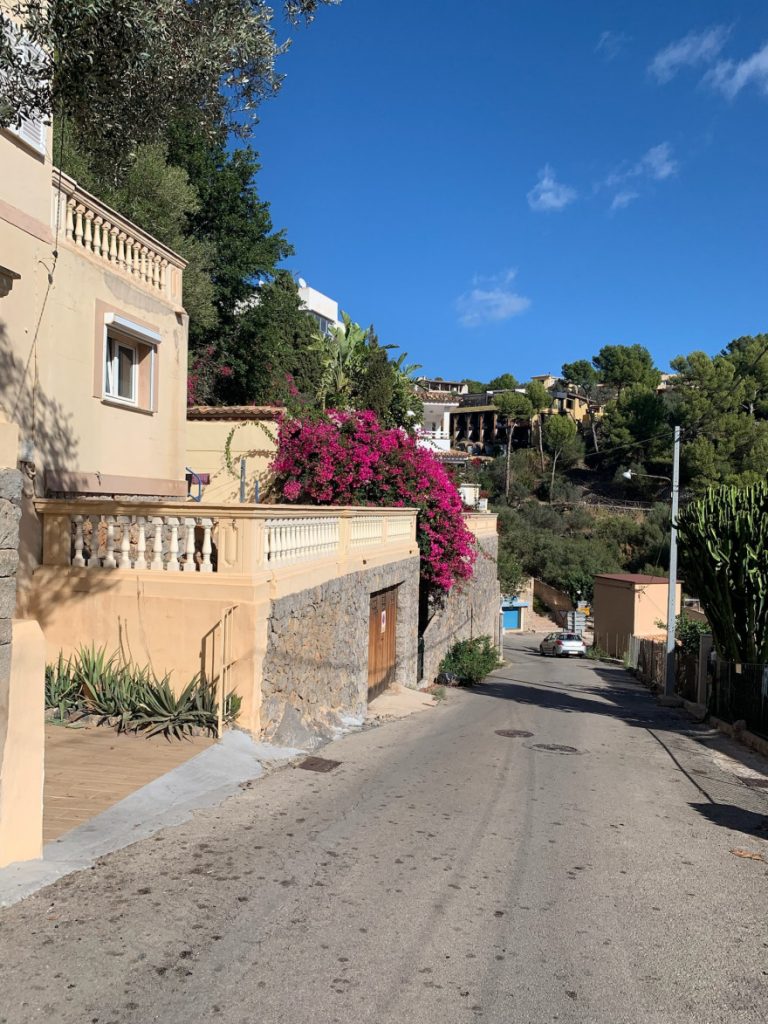 Wandern auf Mallorca Von Port de Soller über Sa Mola nach Soller 23