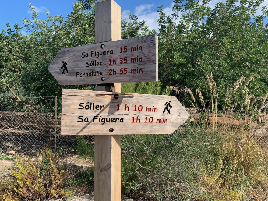 Wandern auf Mallorca Von Port de Soller über Sa Mola nach Soller 26