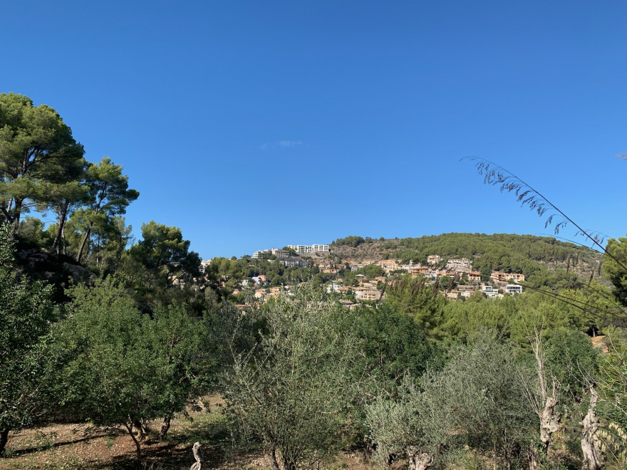 Wandern auf Mallorca Von Port de Soller über Sa Mola nach Soller 29