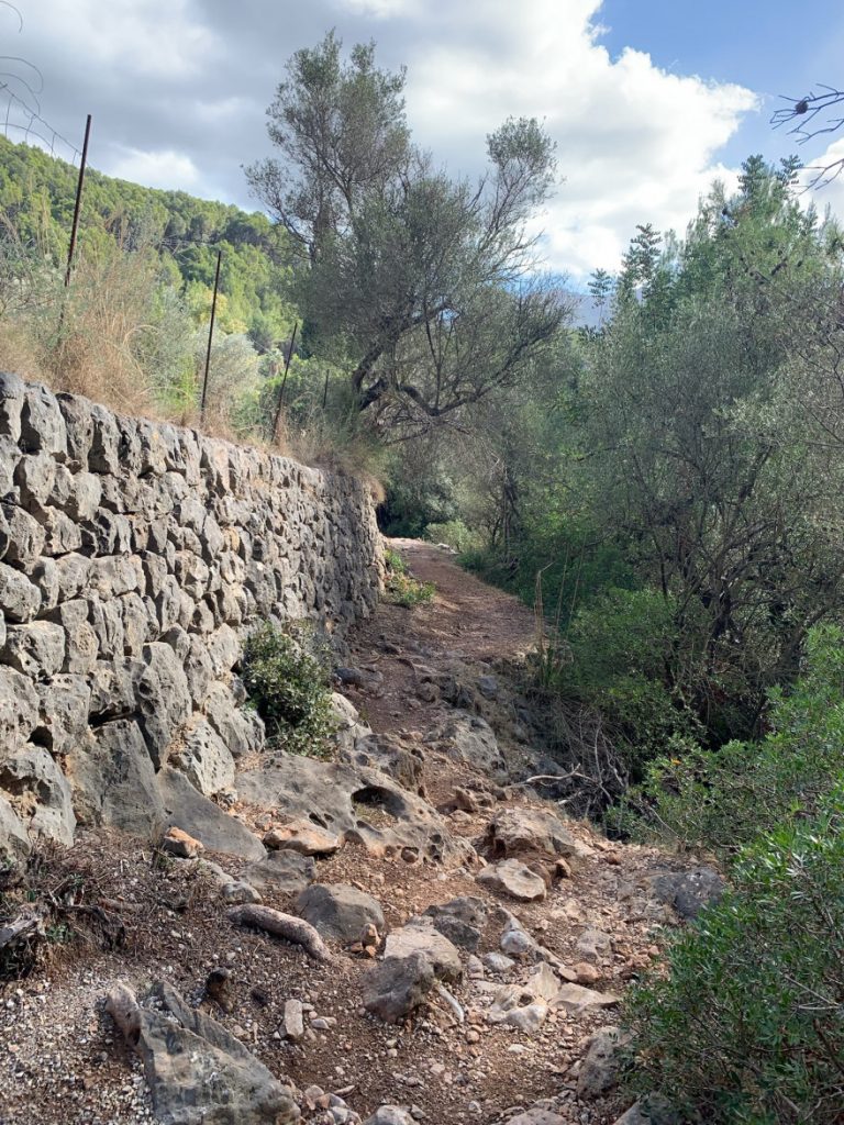 Wandern auf Mallorca Von Port de Soller über Sa Mola nach Soller 32