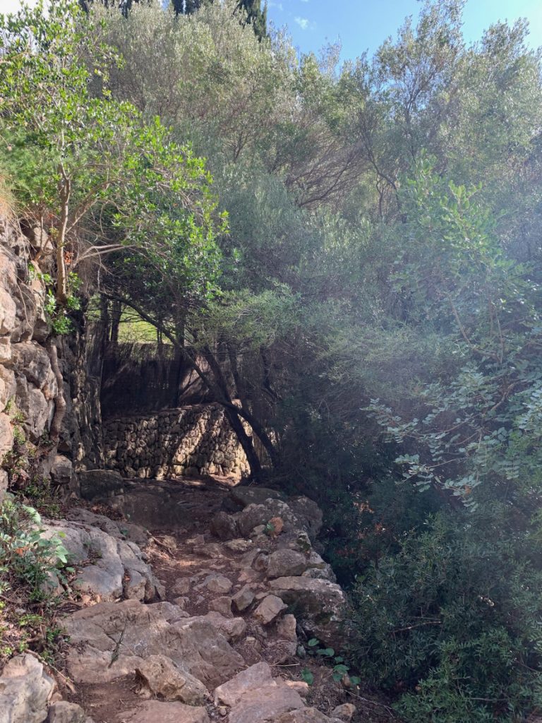 Wandern auf Mallorca Von Port de Soller über Sa Mola nach Soller 33