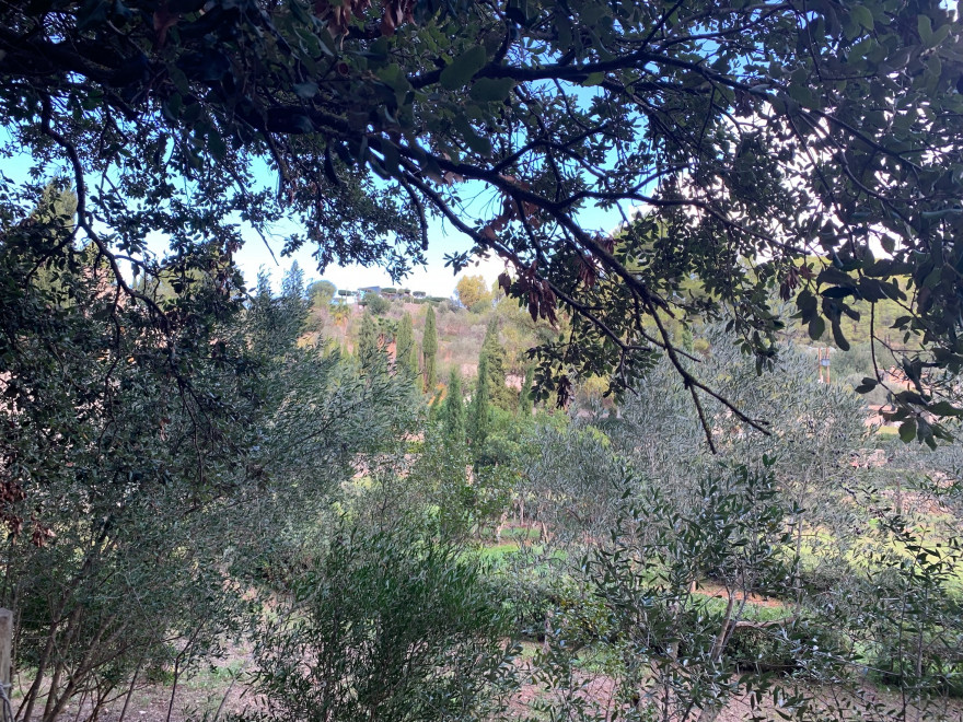 Wandern auf Mallorca Von Port de Soller über Sa Mola nach Soller 34