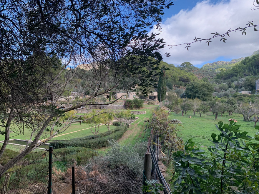 Wandern auf Mallorca Von Port de Soller über Sa Mola nach Soller 35