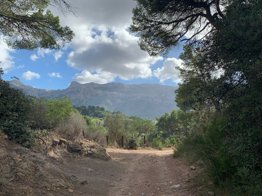 Wandern auf Mallorca Von Port de Soller über Sa Mola nach Soller 36