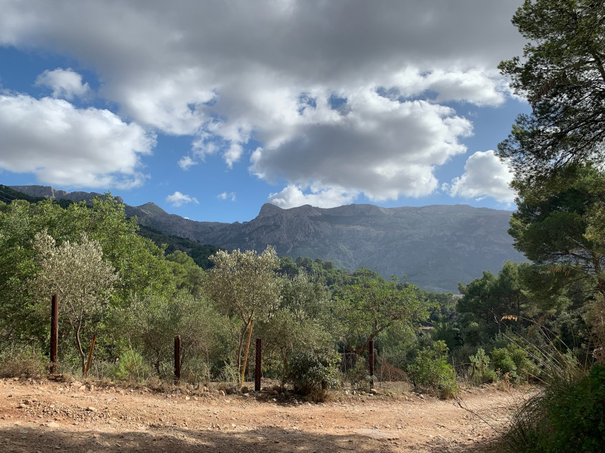 Wandern auf Mallorca Von Port de Soller über Sa Mola nach Soller 37