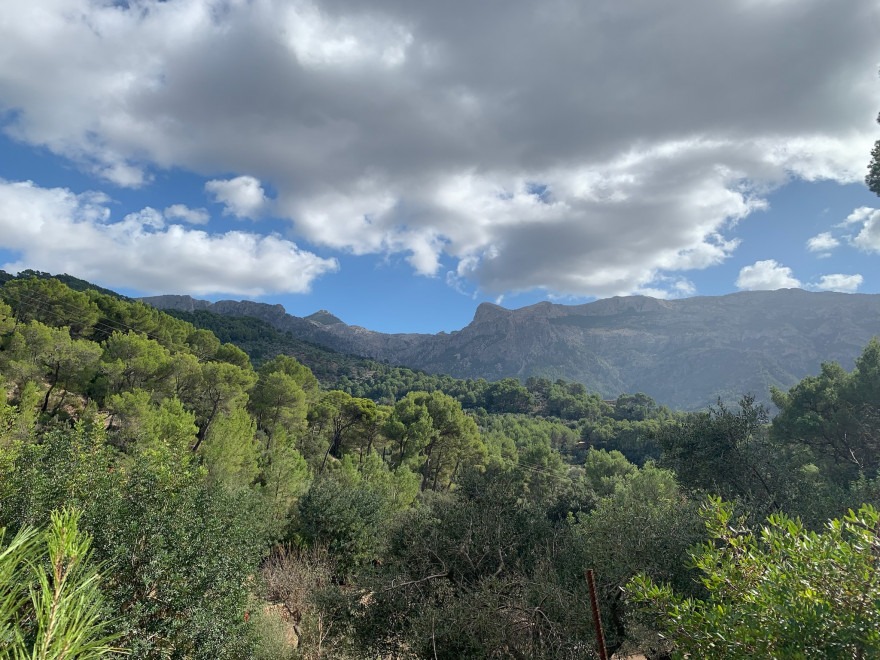 Wandern auf Mallorca Von Port de Soller über Sa Mola nach Soller 38