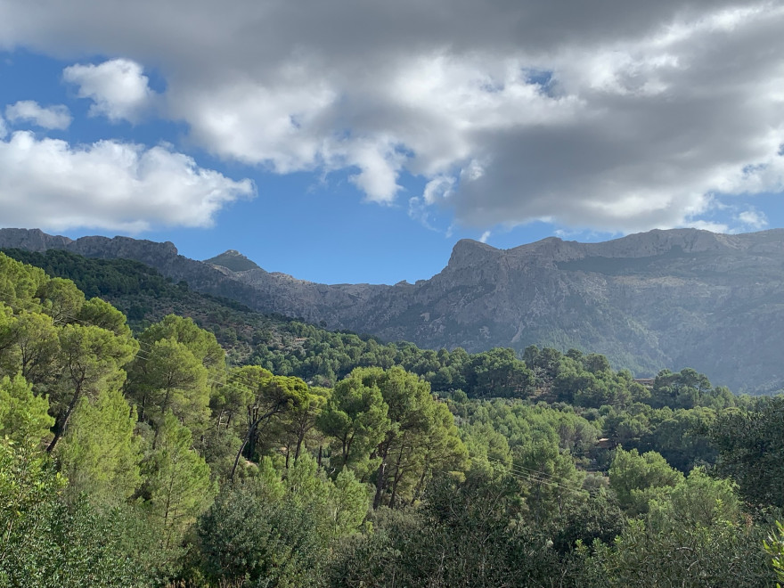 Wandern auf Mallorca Von Port de Soller über Sa Mola nach Soller 39