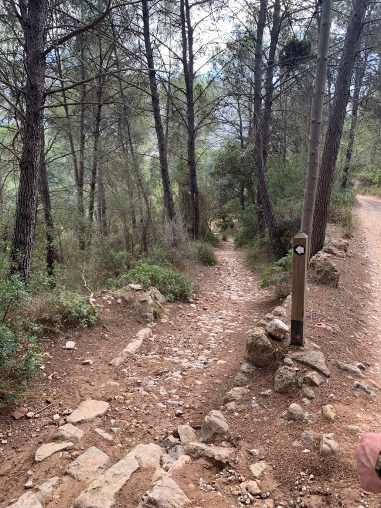 Wandern auf Mallorca Von Port de Soller über Sa Mola nach Soller 40