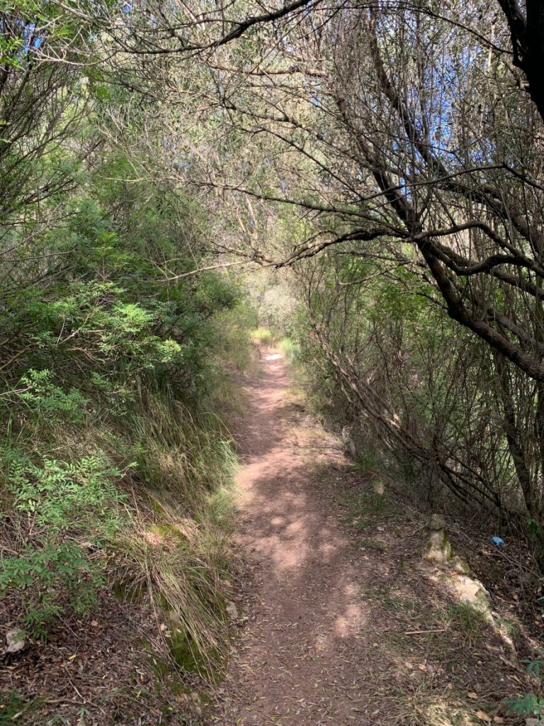 Wandern auf Mallorca Von Port de Soller über Sa Mola nach Soller 41