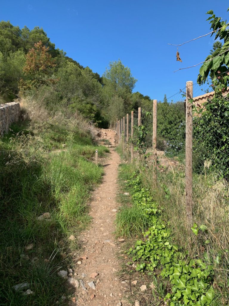 Wandern auf Mallorca Von Port de Soller über Sa Mola nach Soller 42