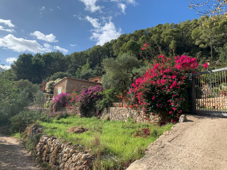 Wandern auf Mallorca Von Port de Soller über Sa Mola nach Soller 45