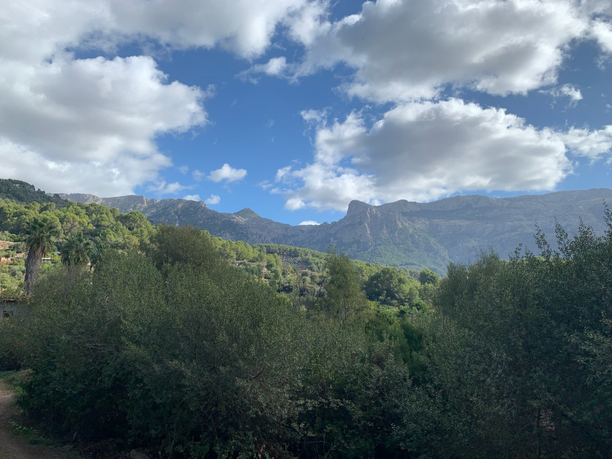 Wandern auf Mallorca Von Port de Soller über Sa Mola nach Soller 47