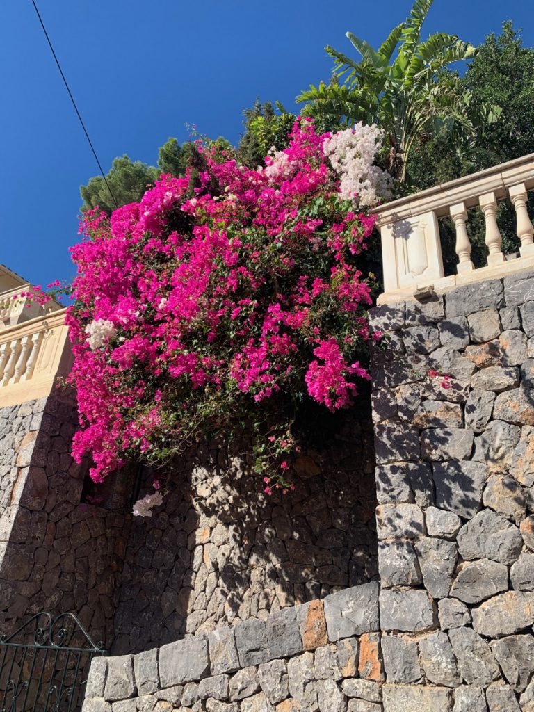 Wandern auf Mallorca Von Port de Soller über Sa Mola nach Soller 5