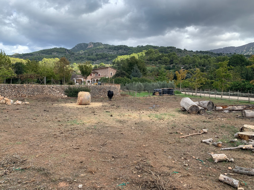 Wandern auf Mallorca Von Port de Soller über Sa Mola nach Soller 54