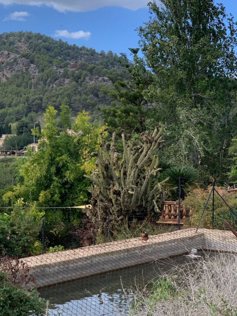 Wandern auf Mallorca Von Port de Soller über Sa Mola nach Soller 58