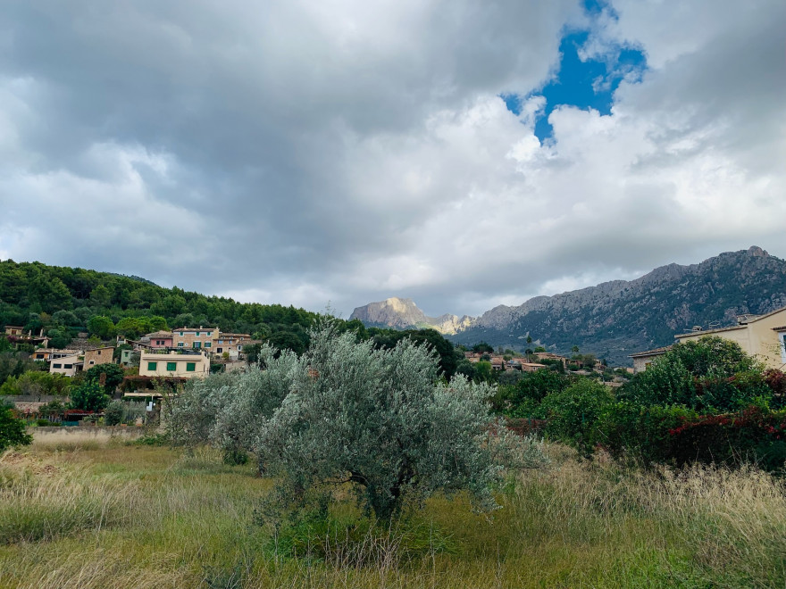 Wandern auf Mallorca Von Port de Soller über Sa Mola nach Soller 62