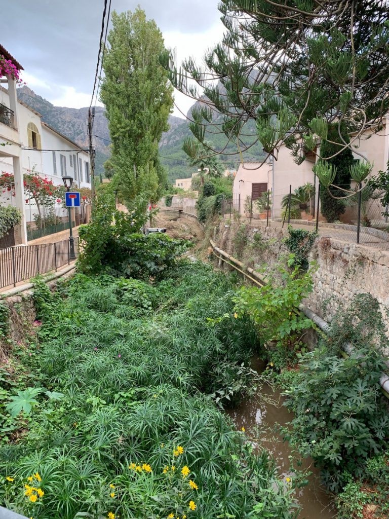 Wandern auf Mallorca Von Port de Soller über Sa Mola nach Soller 65