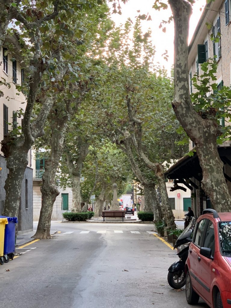 Wandern auf Mallorca Von Port de Soller über Sa Mola nach Soller 85