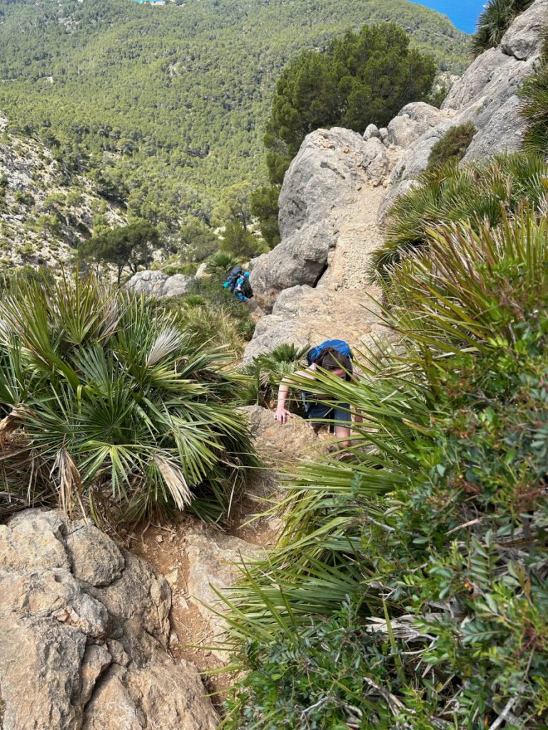 Wandern auf Mallorca Von Sant Elm zur Klosteruine La Trapa 11