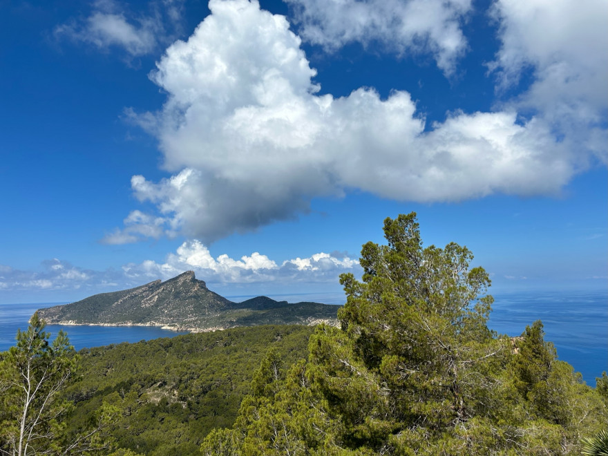 Wandern auf Mallorca Von Sant Elm zur Klosteruine La Trapa 2