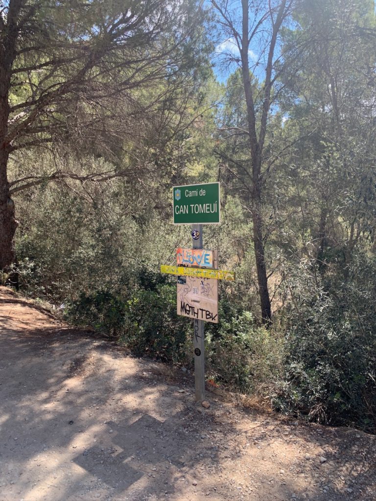 Wandern auf Mallorca Von Sant Elm zur Klosteruine La Trapa 21