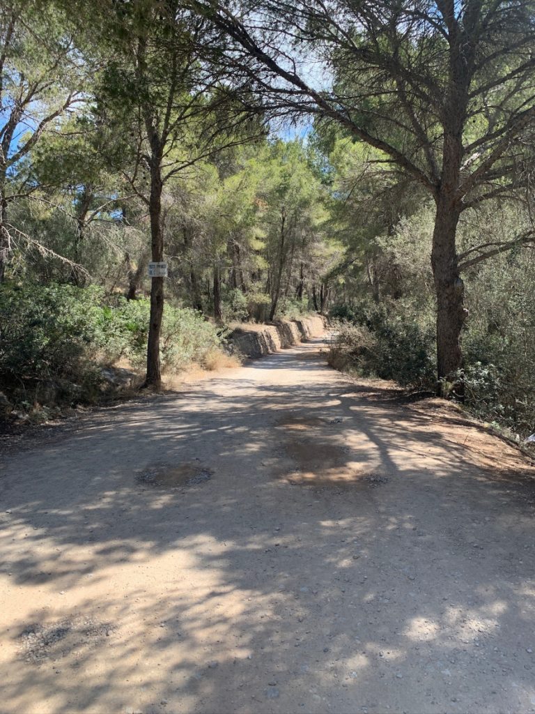 Wandern auf Mallorca Von Sant Elm zur Klosteruine La Trapa 22