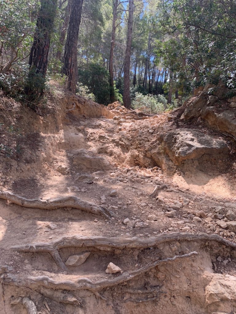 Wandern auf Mallorca Von Sant Elm zur Klosteruine La Trapa 26