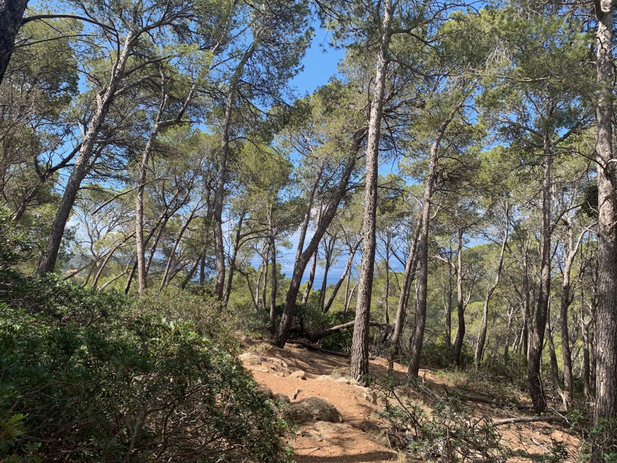 Wandern auf Mallorca Von Sant Elm zur Klosteruine La Trapa 27