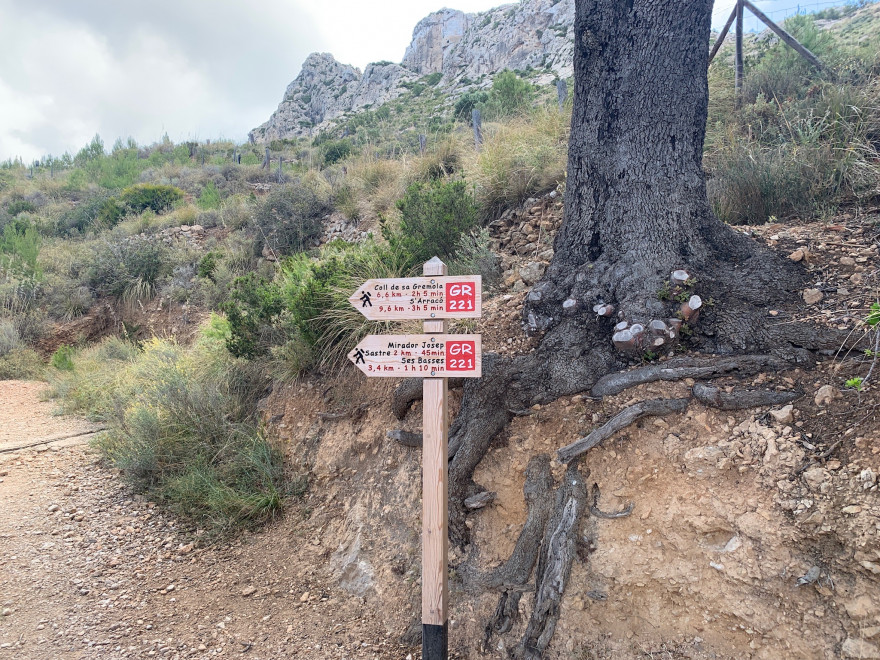 Wandern auf Mallorca Von Sant Elm zur Klosteruine La Trapa 44
