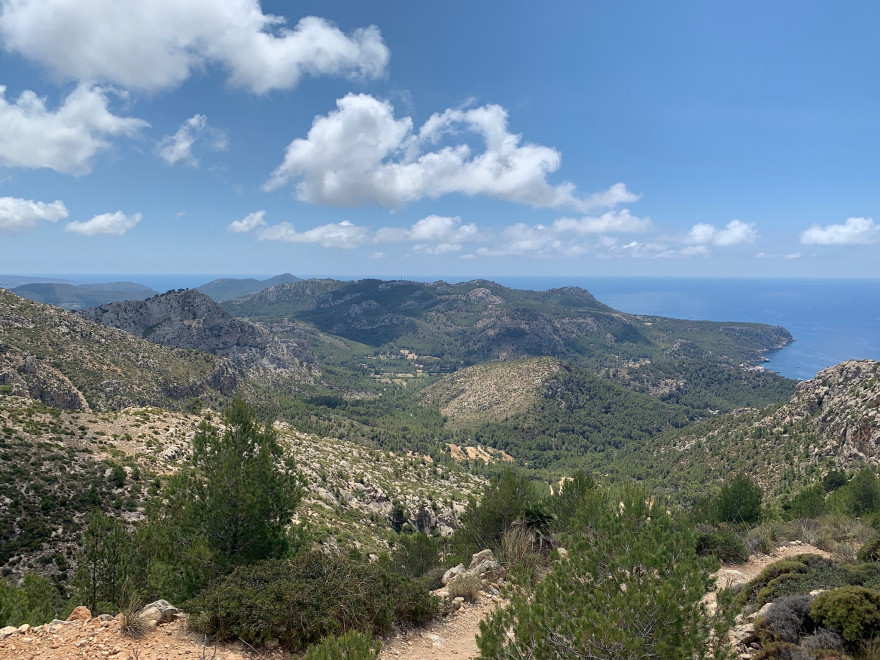 Wandern auf Mallorca Von Sant Elm zur Klosteruine La Trapa 46