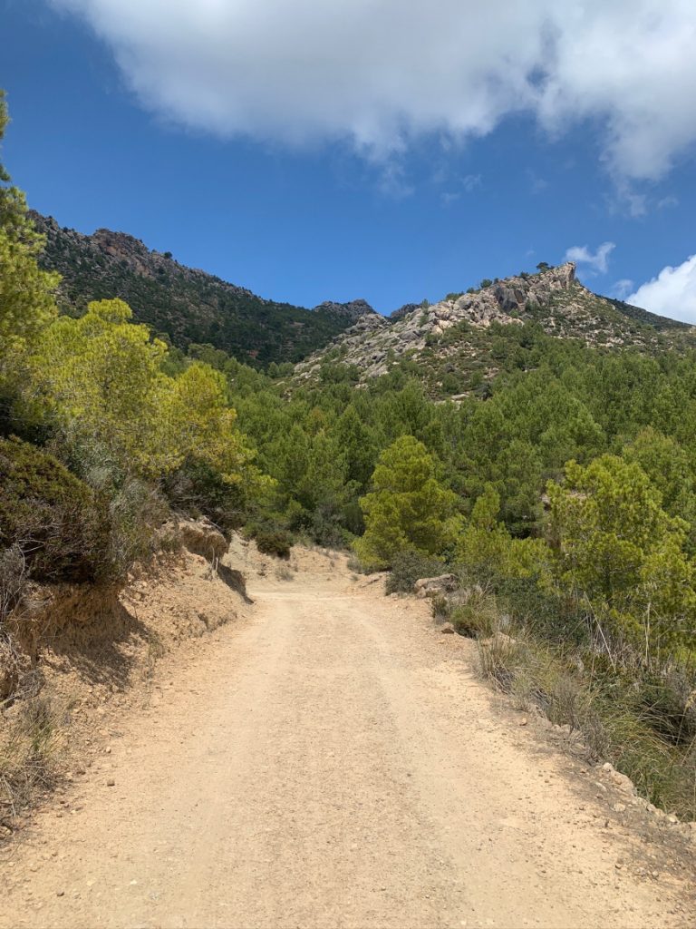 Wandern auf Mallorca Von Sant Elm zur Klosteruine La Trapa 47
