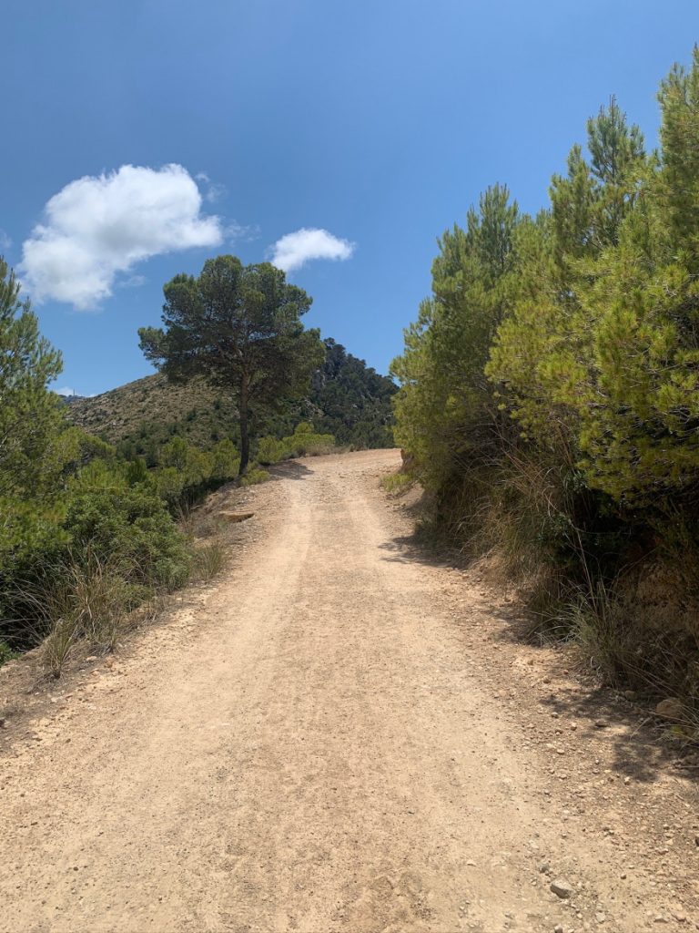 Wandern auf Mallorca Von Sant Elm zur Klosteruine La Trapa 48