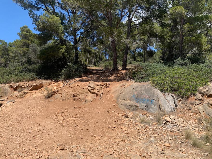 Wandern auf Mallorca Von Sant Elm zur Klosteruine La Trapa 51