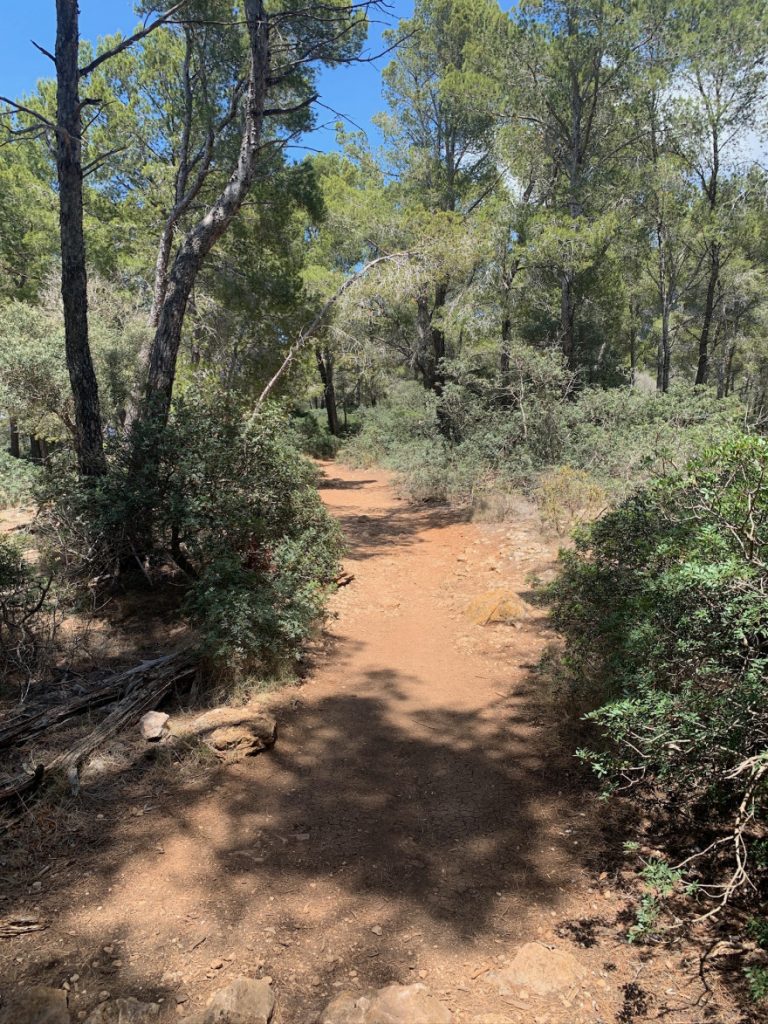 Wandern auf Mallorca Von Sant Elm zur Klosteruine La Trapa 52