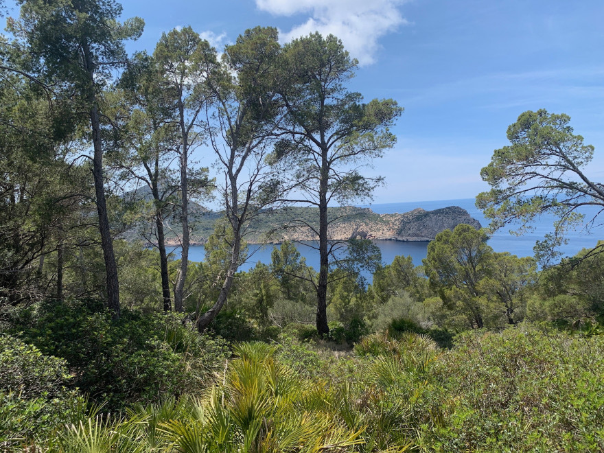 Wandern auf Mallorca Von Sant Elm zur Klosteruine La Trapa 53