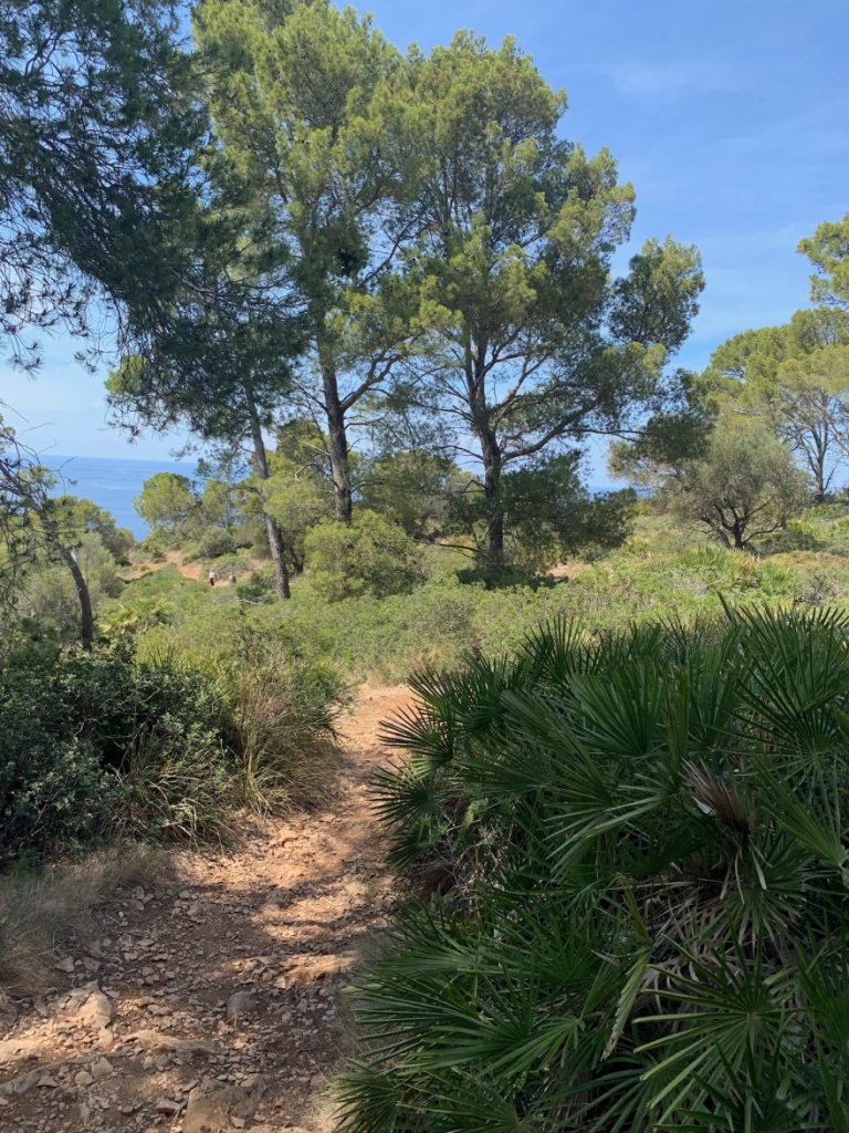 Wandern auf Mallorca Von Sant Elm zur Klosteruine La Trapa 58