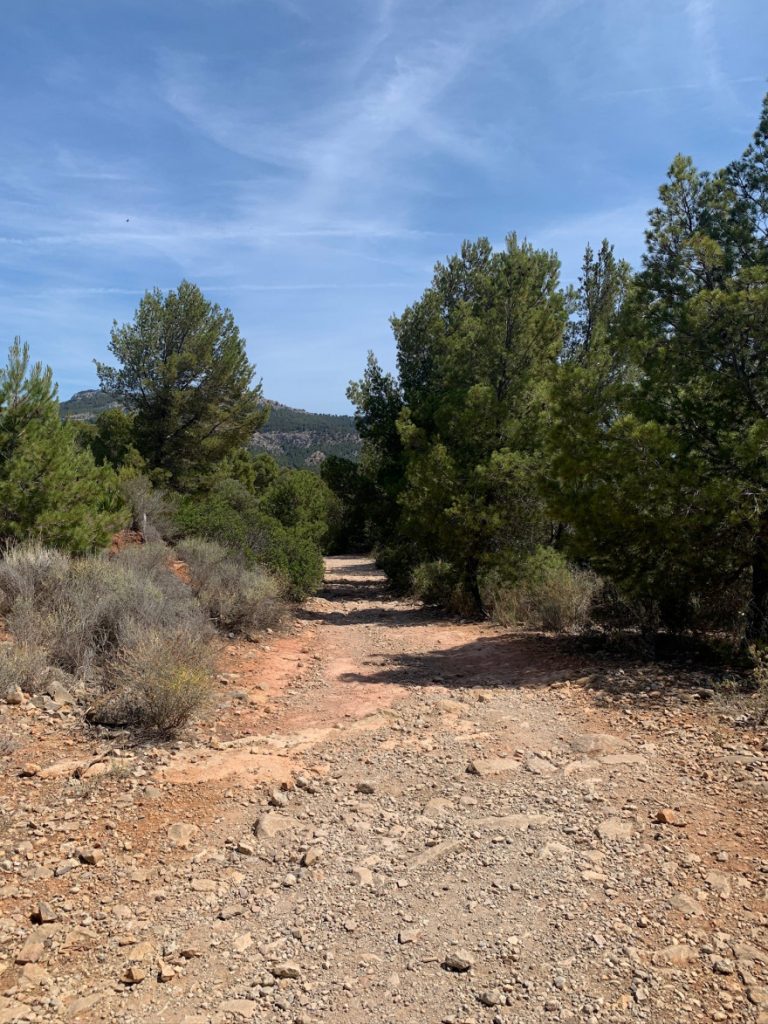 Wandern auf Mallorca Von Sant Elm zur Klosteruine La Trapa 59