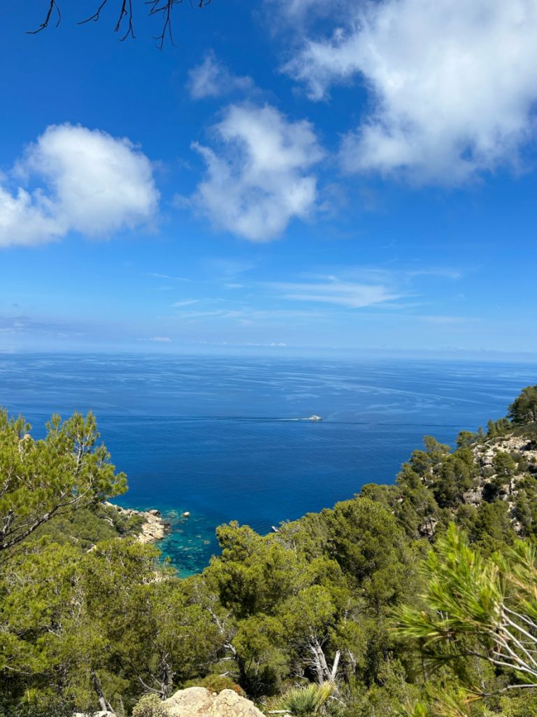 Wandern auf Mallorca Von Sant Elm zur Klosteruine La Trapa 6
