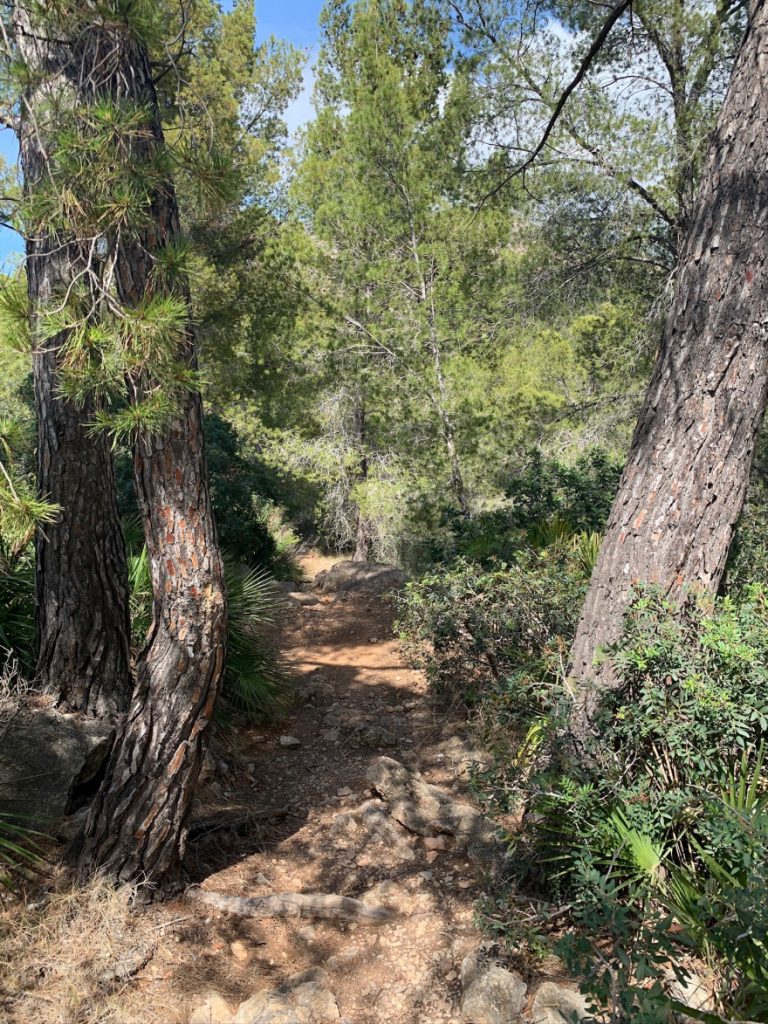 Wandern auf Mallorca Von Sant Elm zur Klosteruine La Trapa 60