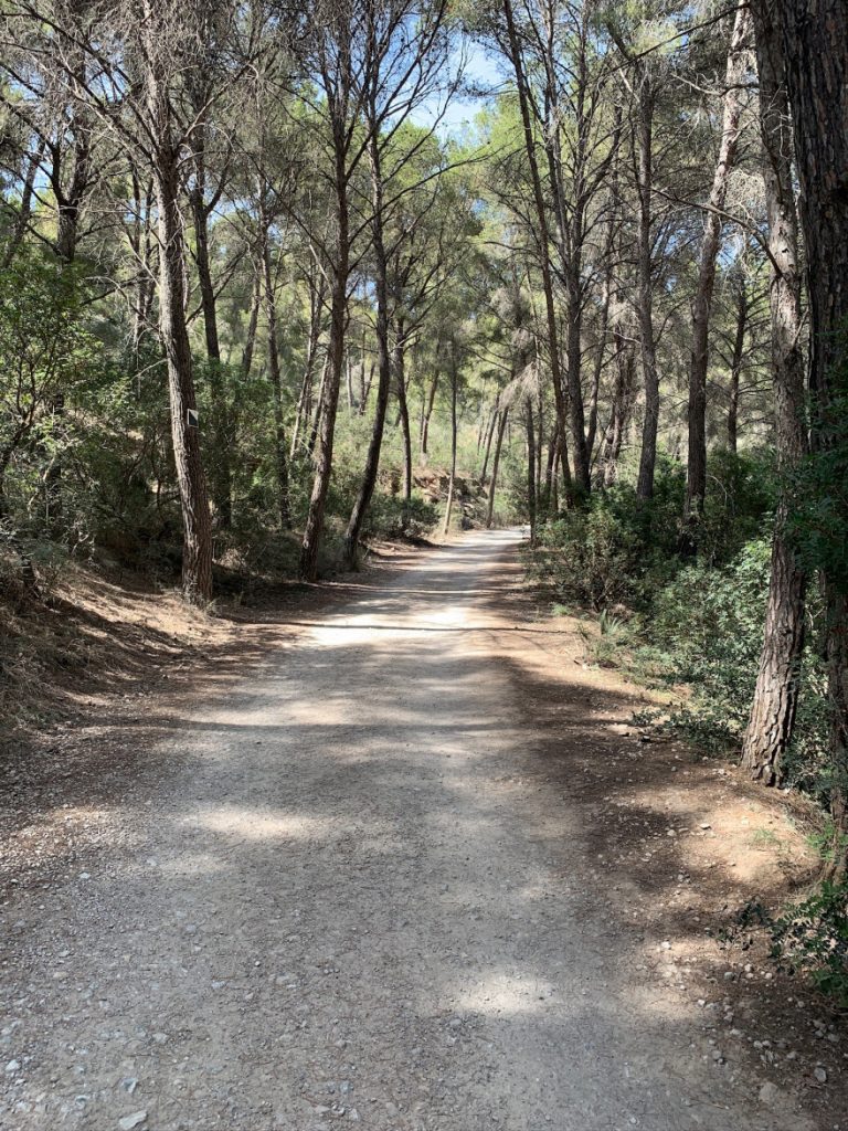 Wandern auf Mallorca Von Sant Elm zur Klosteruine La Trapa 63