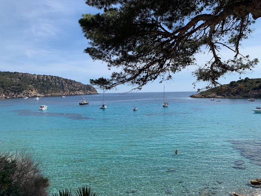 Wandern auf Mallorca Von Sant Elm zur Klosteruine La Trapa 68